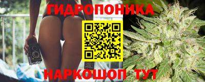 гидра Ливны